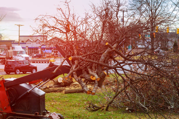 Best Leaf Removal  in Otis Orchards East Farms, WA